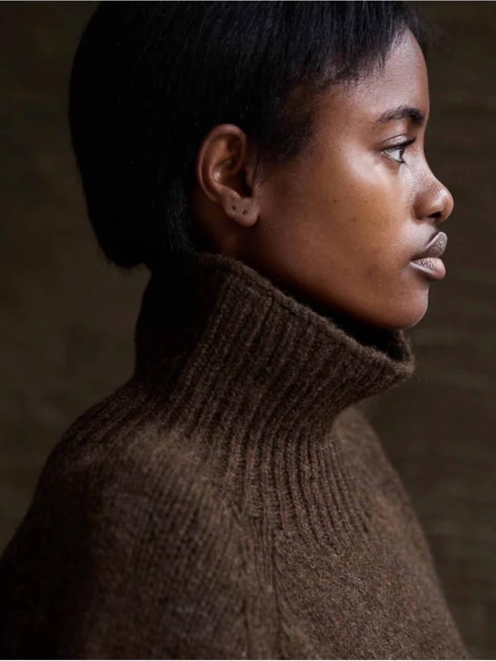 Siskin Lambswool Rollneck Sweater - Picture 2 of 5